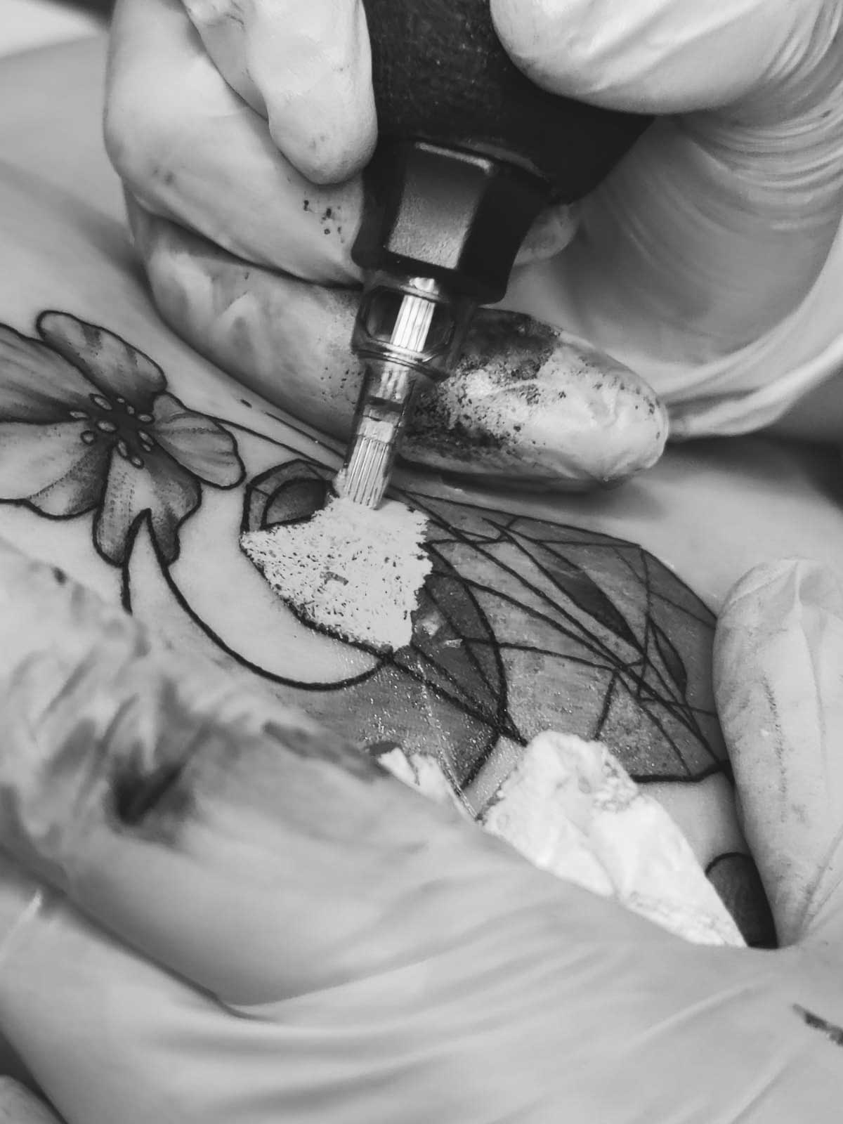 L Ancrage Pigmente Tatouage Vannes PSX 20210729 145827 1 L Ancrage Pigmente Tatouage Vannes PSX 20210729 145827 1